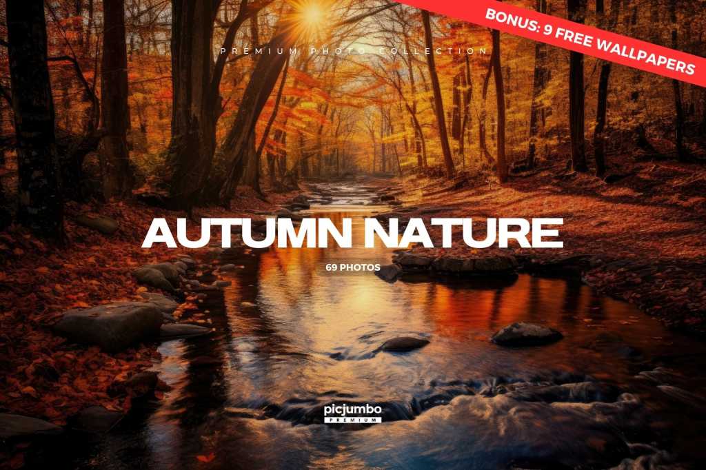 Autumn Nature Photo Collection