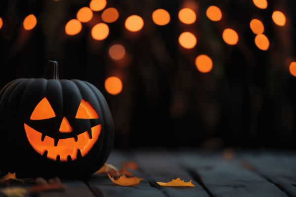 Dark Halloween Pumpkin Still Life With Copy Space Free Image
