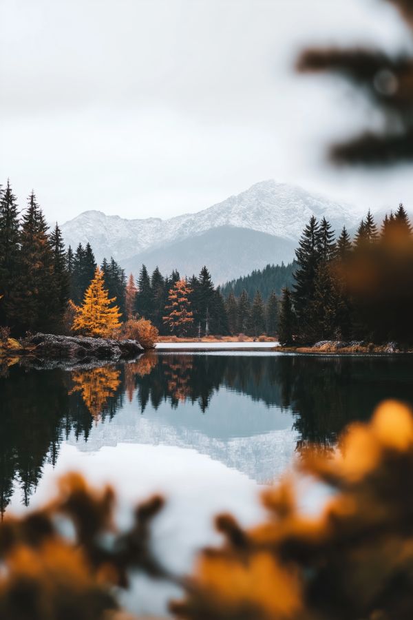 Fall Is Coming Beautiful Autumn Nature in the Mountains Free Image