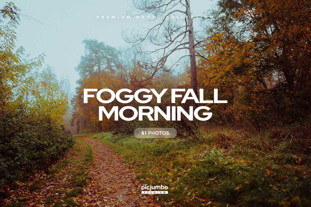 Foggy Fall Morning Photo Collection