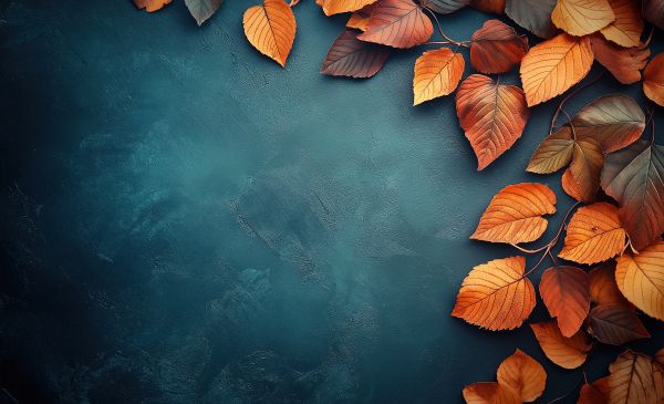 Free Autumn Background with Orange Leaves and Space for Text Free Image