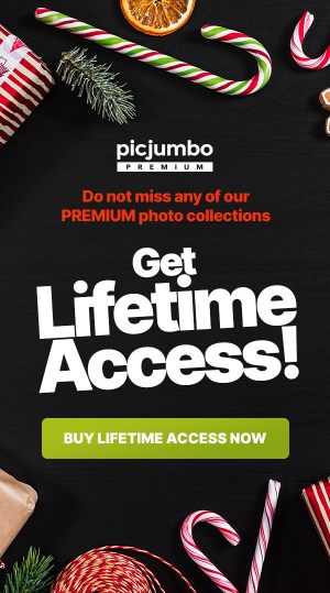 Get full access to our PREMIUM content! Tons of high-resolution stock photos and new content every month!