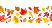Seamless pattern of autumn leaves