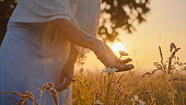 Serene Outdoor Moment with Caucasian Woman and Wildflowers at Dusk