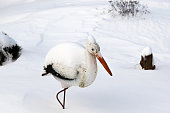 Decorative decoration Stork bird covered with snow