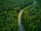 Driving Through Forest - Aerial View
