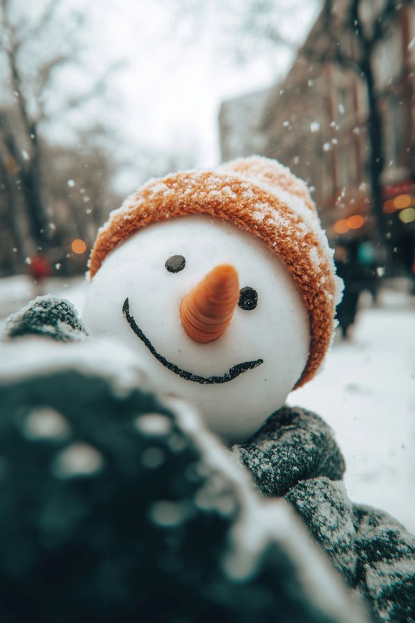 Smiling Snowman Selfie Free Image