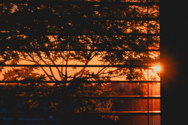 Sun Shining Through Outdoor Window Blinds Free Photo
